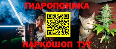 дмт Берёзовский