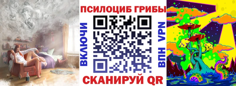 купить наркотики цена  ссылка на мегу вход  Псилоцибиновые грибы Psilocybine cubensis  Вязники 