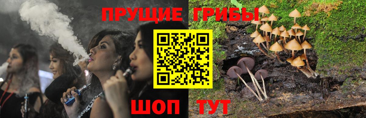 Вязники  Псилоцибиновые грибы Cubensis  Галлюциногенные грибы Psilocybe  купить   Вход с VPN 