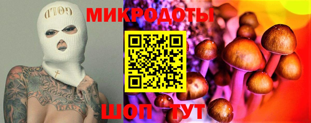 Галлюциногенные грибы Cubensis Вязники